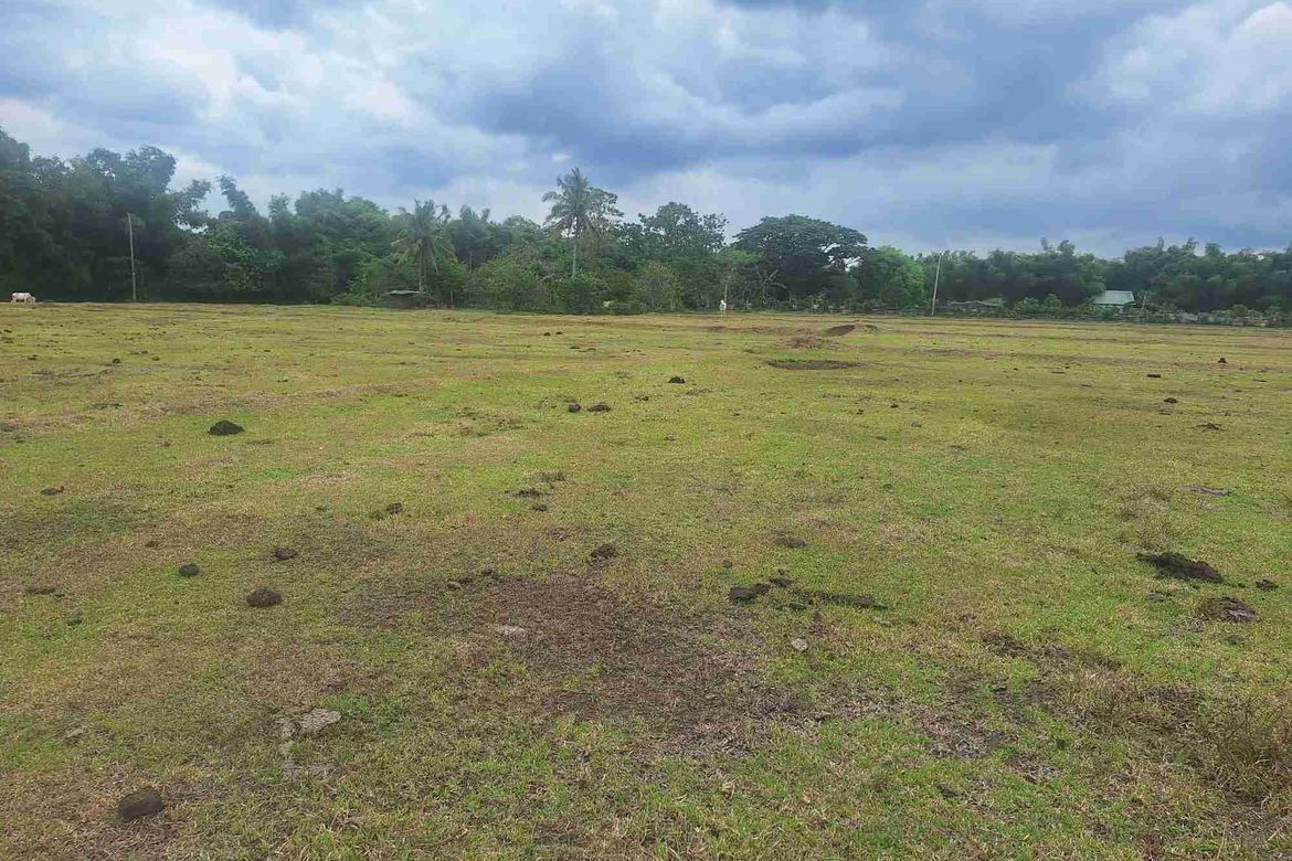 Land for Sale in Bayawang, Rosario, Batangas