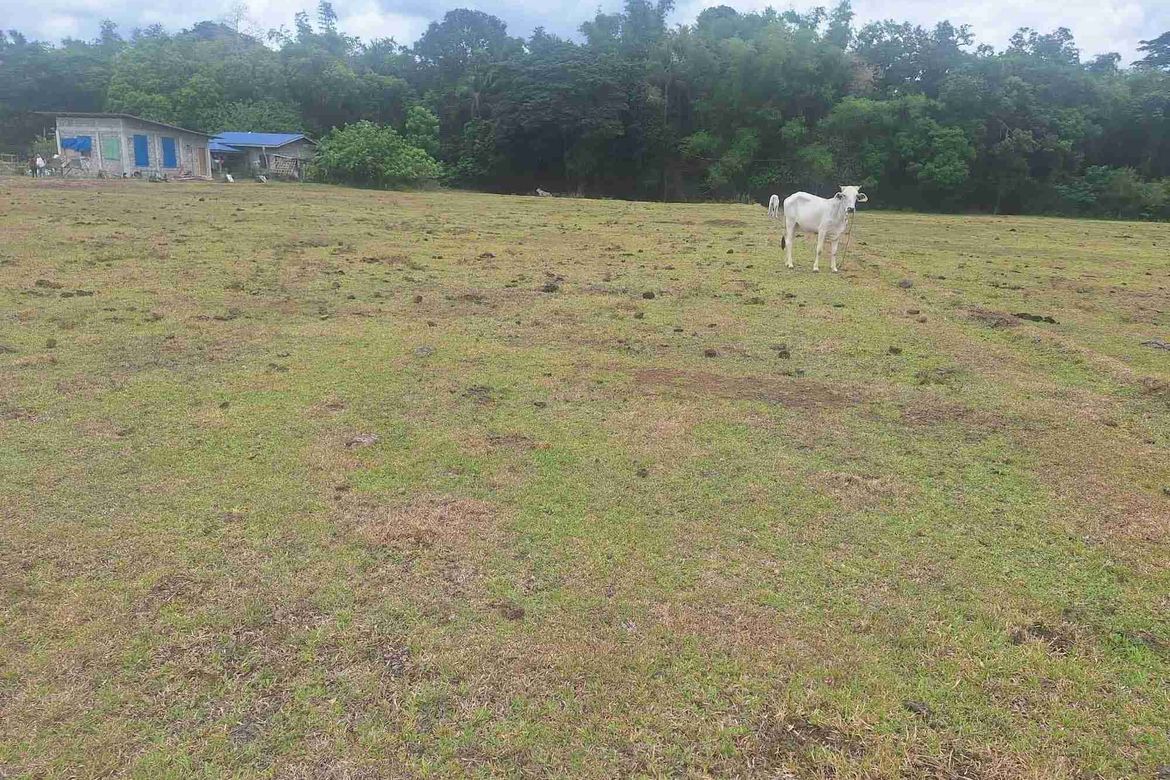 Land for Sale in Bayawang, Rosario, Batangas – photo 4