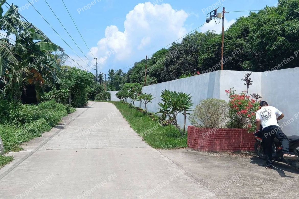 Land for Sale in Bayawang, Rosario, Batangas – photo 7