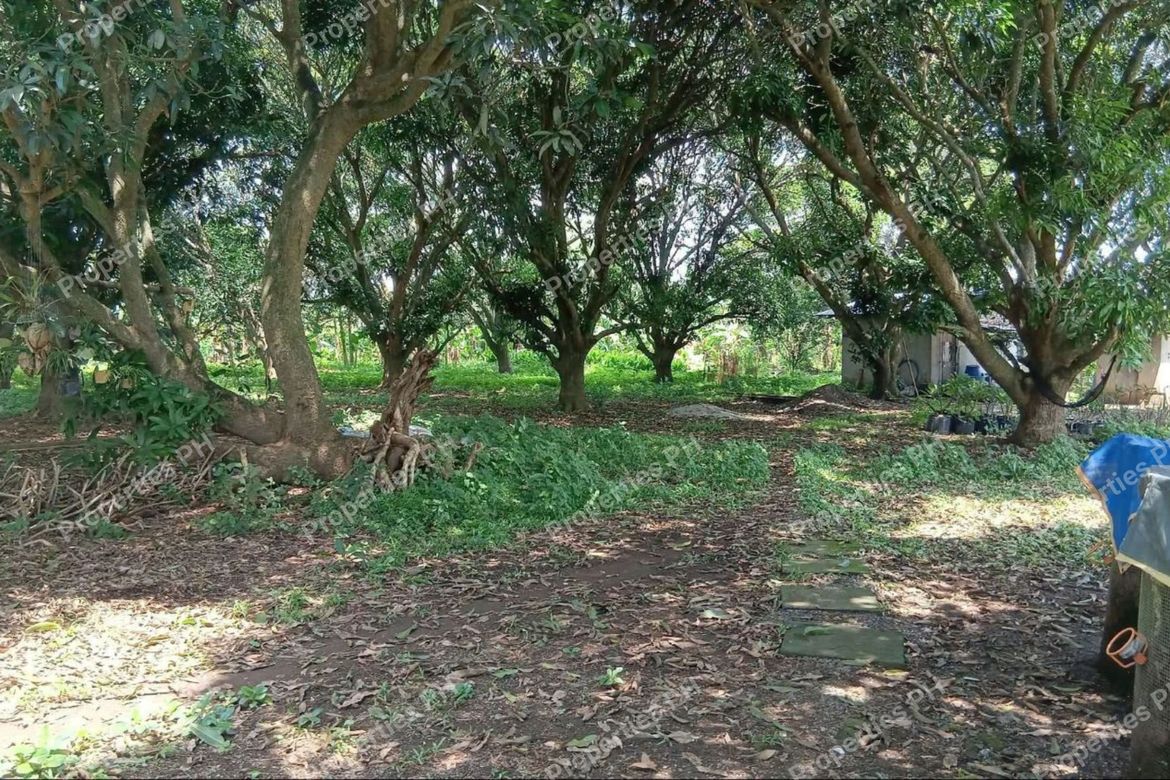 Land for Sale in Bayawang, Rosario, Batangas – photo 8