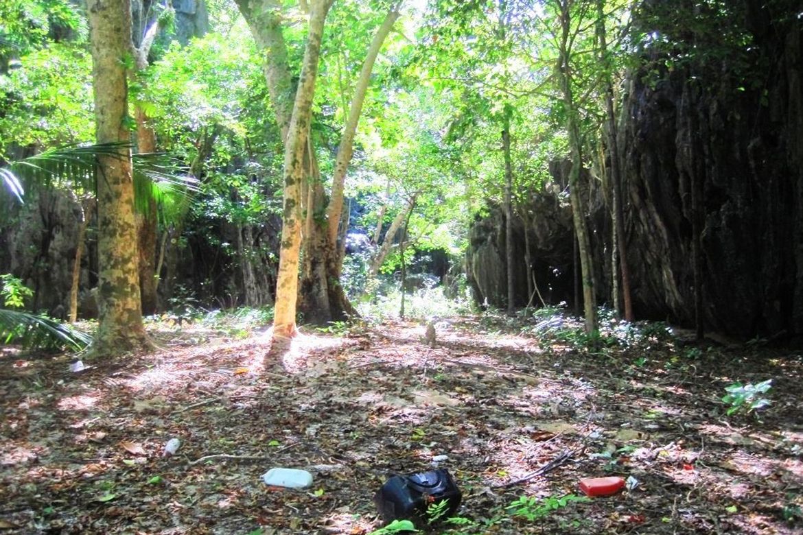 Land for Sale in Bebeladan, El Nido, Palawan – photo 8