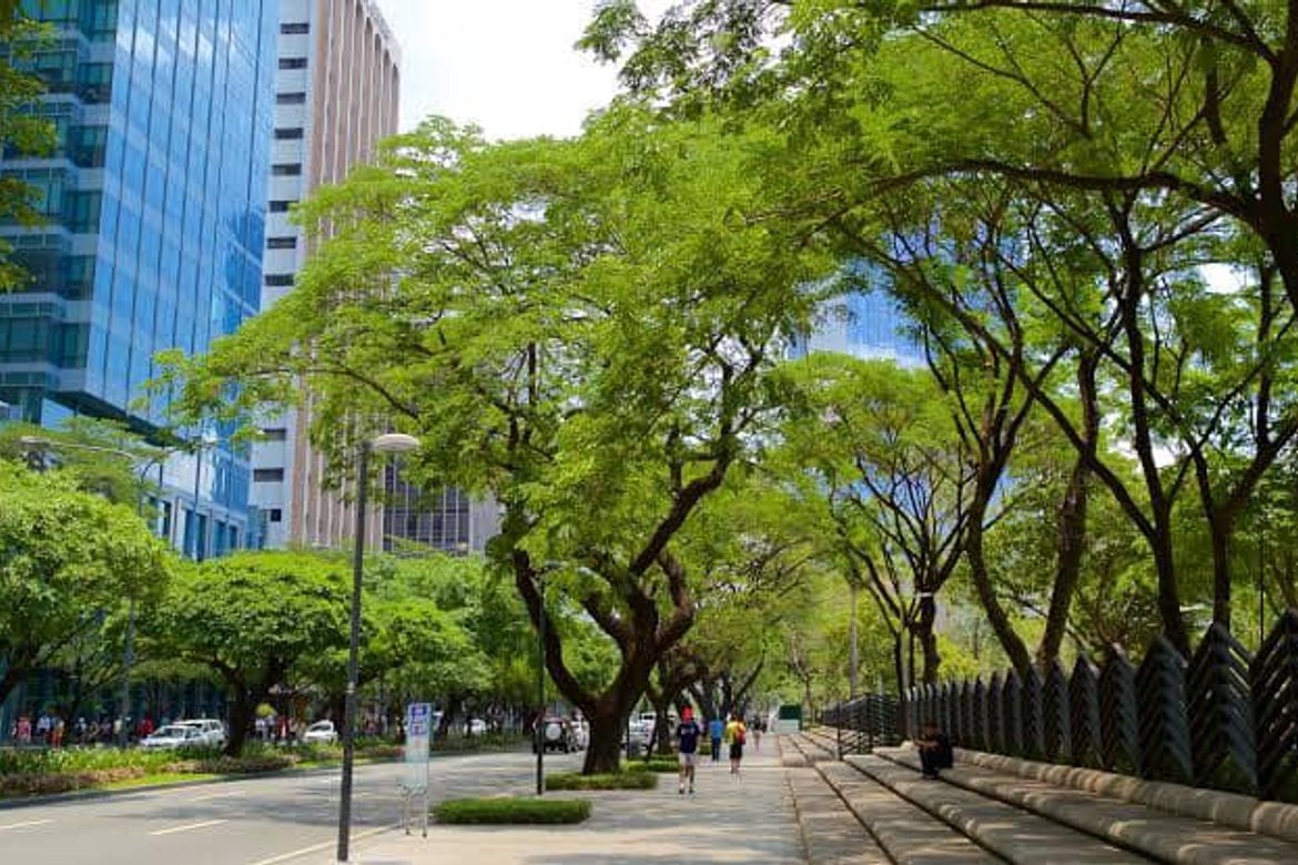 Land for Sale in Bel-Air, Makati, Metro Manila