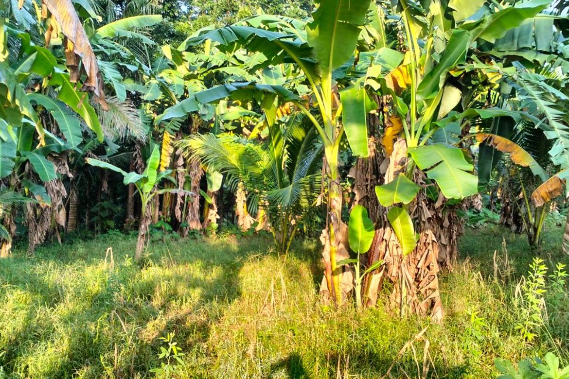 Land for Sale in Bendita I, Magallanes, Cavite – photo 3