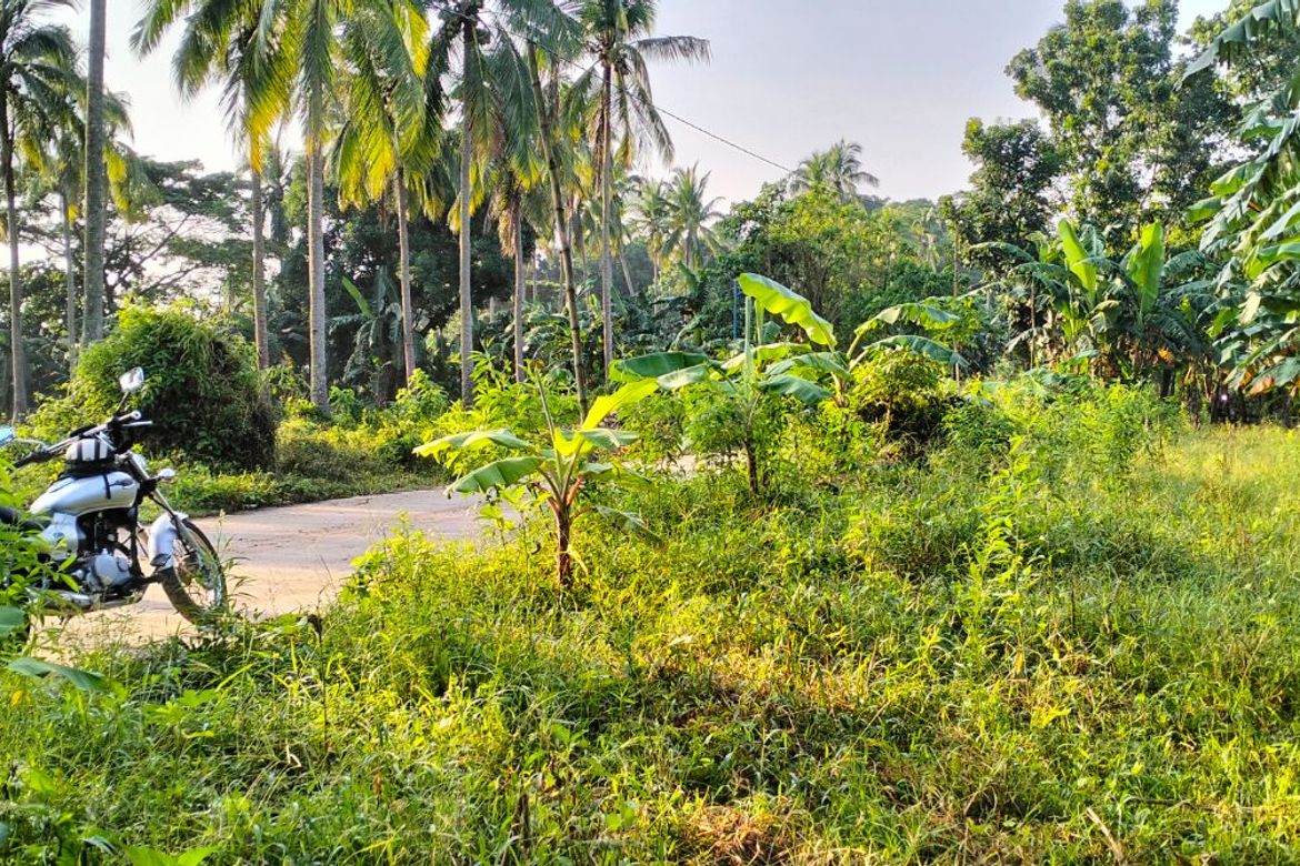 Land for Sale in Bendita I, Magallanes, Cavite – photo 7