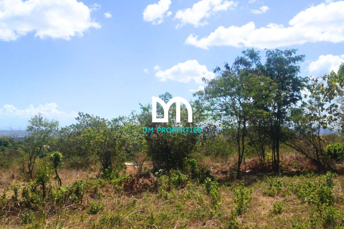 Land for Sale in Beverly Hills, Antipolo, Rizal – photo 6