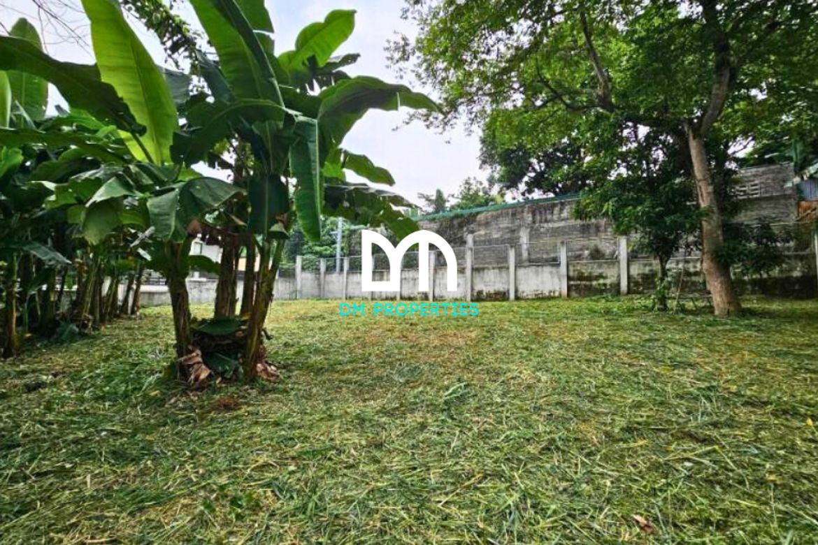Land for Sale in Beverly Hills, Antipolo, Rizal – photo 2