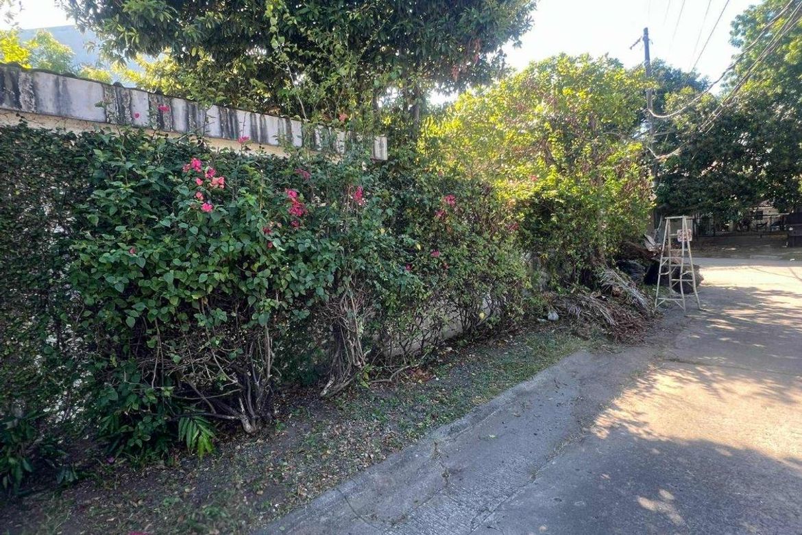 Land for Sale in BF Homes Parañaque, BF Homes, Parañaque, Metro Manila – photo 5