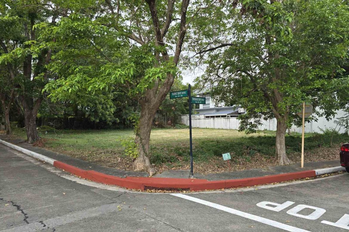 Land for Sale in BF Homes, Parañaque, Metro Manila