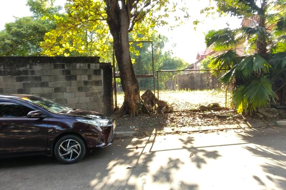 Land for Sale in BF Homes, Parañaque, Metro Manila – photo 5