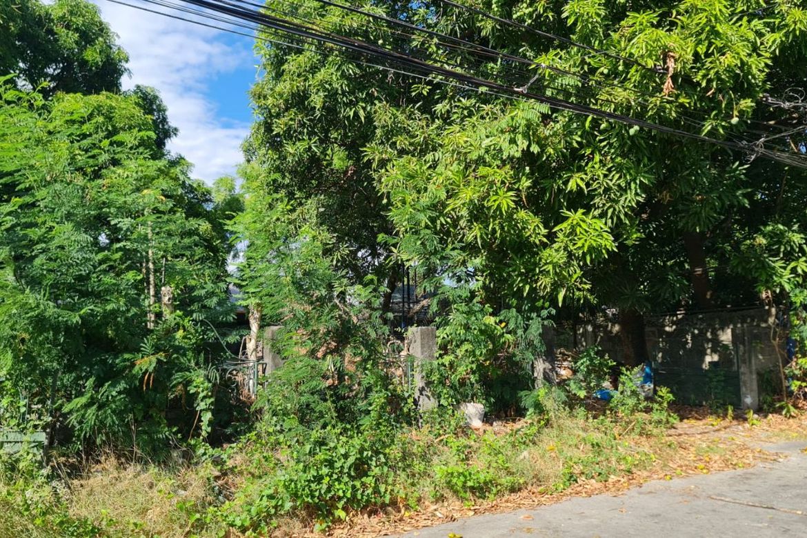 Land for Sale in BF Homes, Parañaque, Metro Manila
