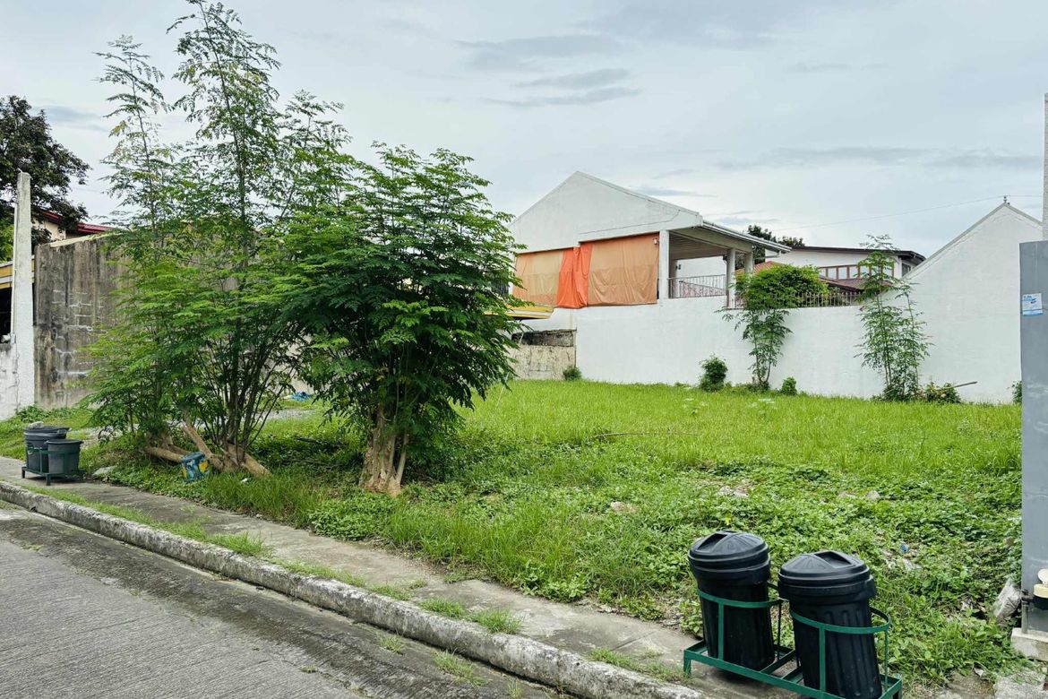 Land for Sale in BF Homes, Parañaque, Metro Manila – photo 4