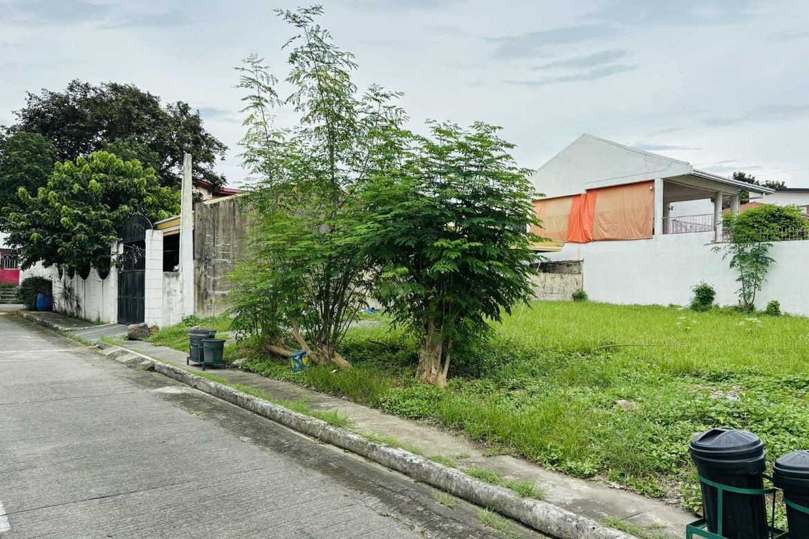 Land for Sale in BF Homes, Parañaque, Metro Manila – photo 8