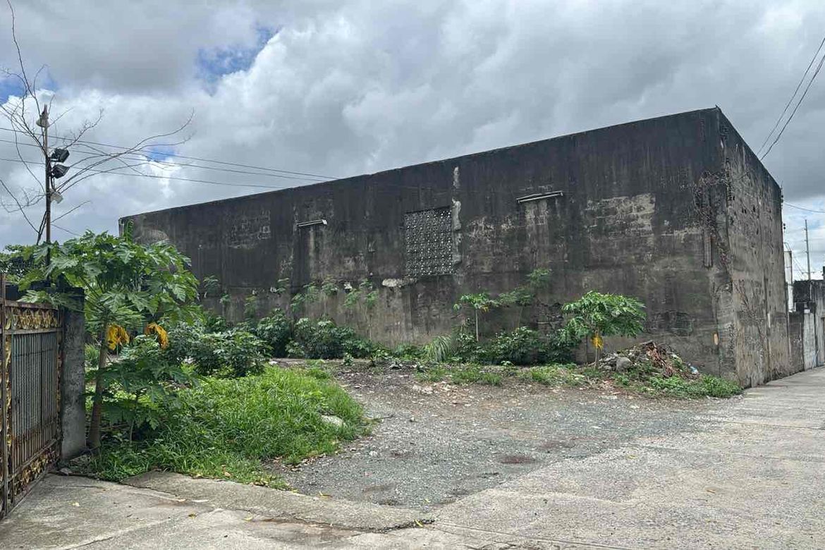 Land for Sale in BF Homes, Parañaque, Metro Manila – photo 4
