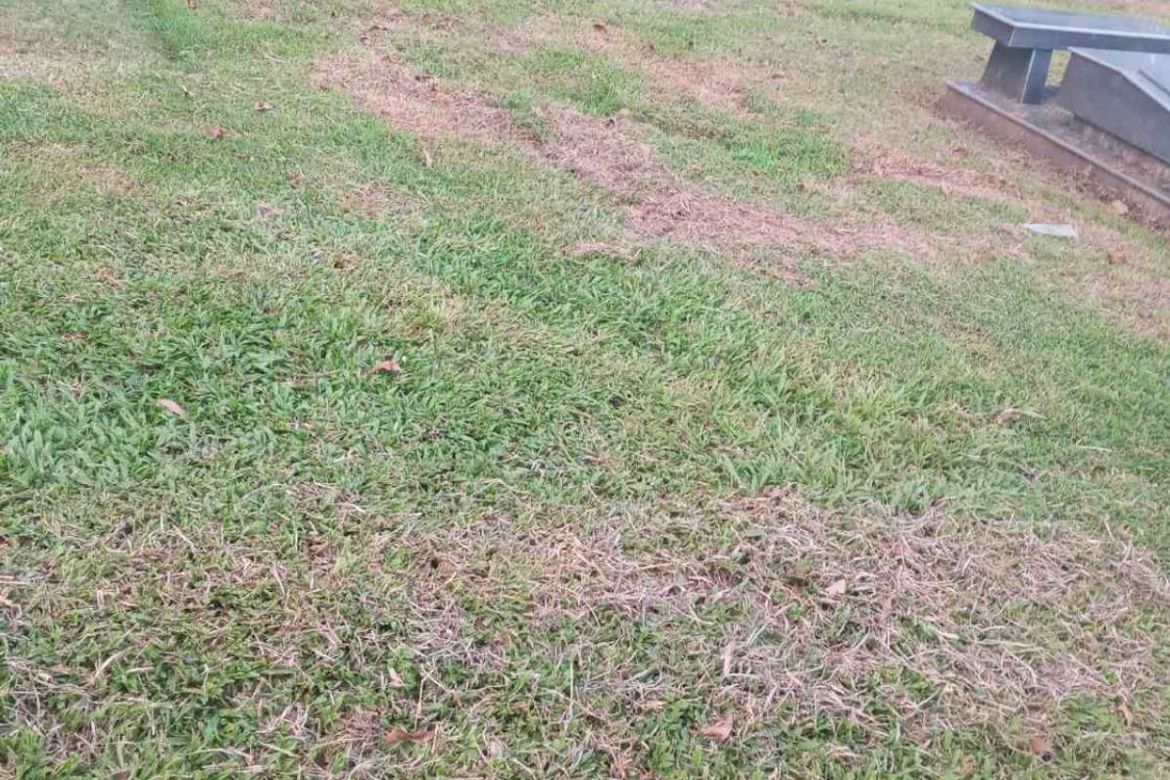 Land for Sale in BF Homes, Parañaque, Metro Manila – photo 6