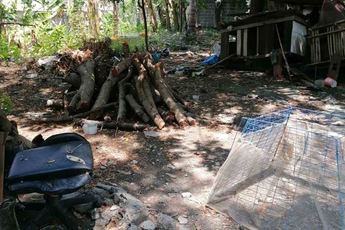 Land for Sale in BF Homes, Parañaque, Metro Manila – photo 4