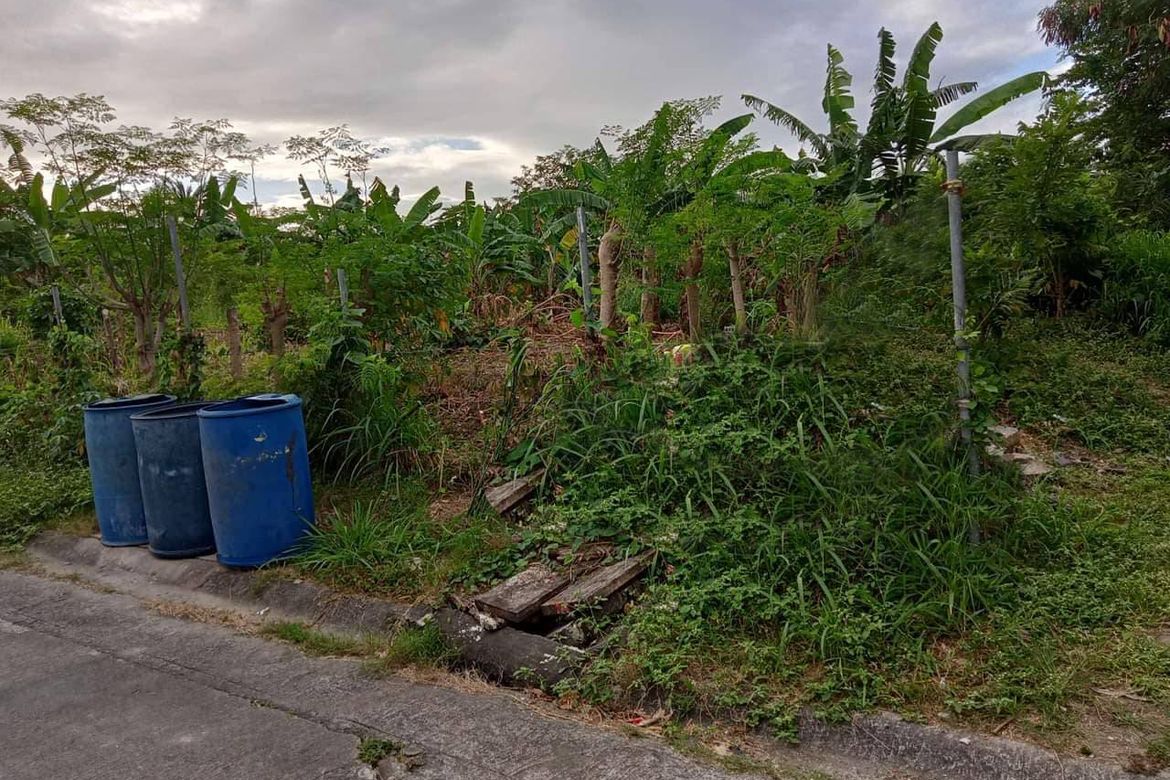 Land for Sale in BF Resort, Las Piñas, Metro Manila – photo 4