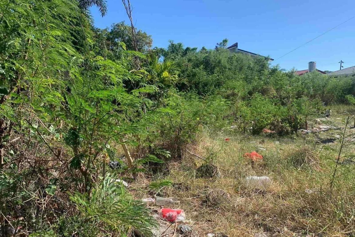 Land for Sale in BF Resort, Las Piñas, Metro Manila – photo 3