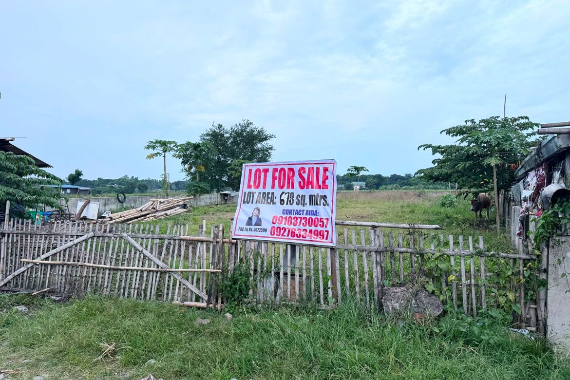 Land for Sale in Bgy. 1 Pob, San Miguel, Iloilo – photo 2