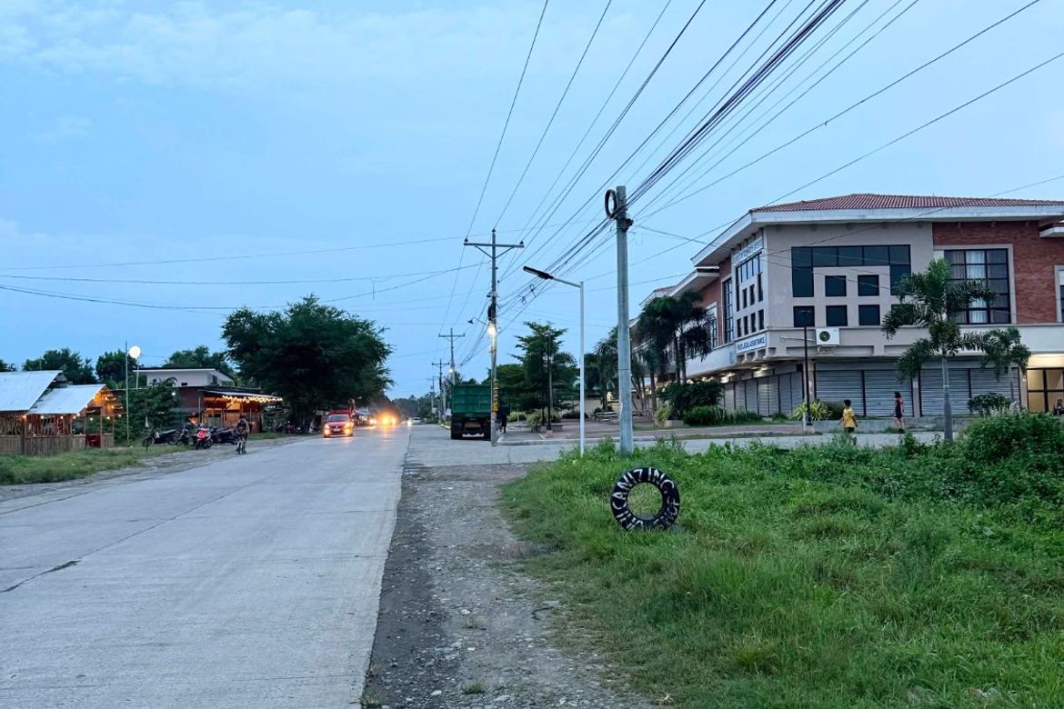 Land for Sale in Bgy. 1 Pob, San Miguel, Iloilo – photo 3