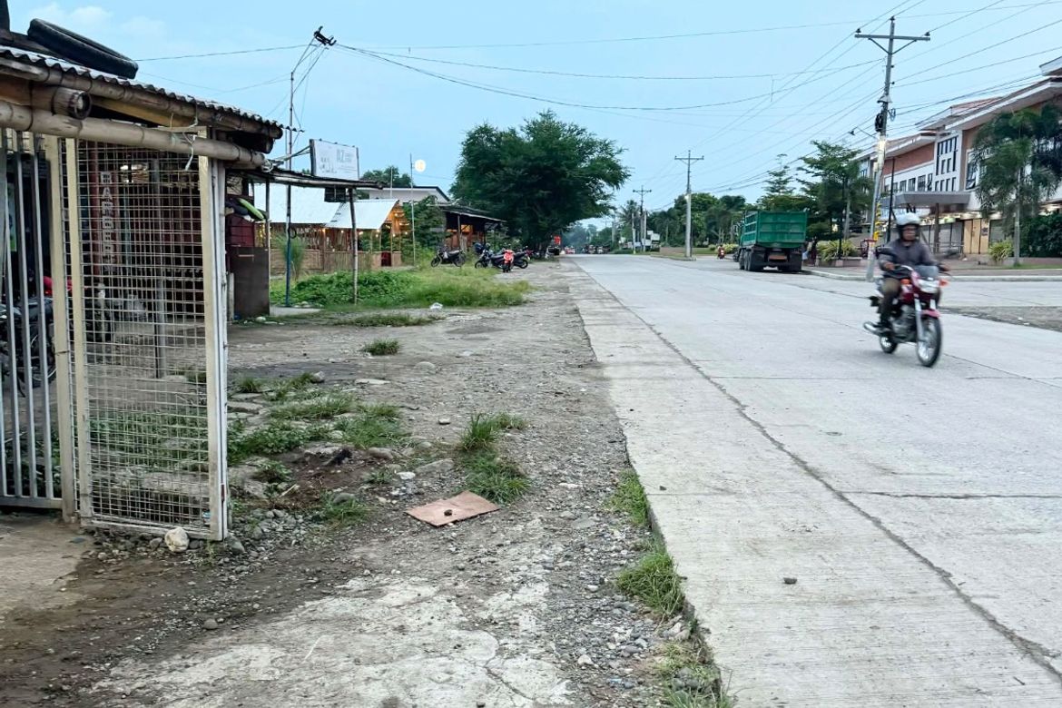 Land for Sale in Bgy. 1 Pob, San Miguel, Iloilo – photo 5