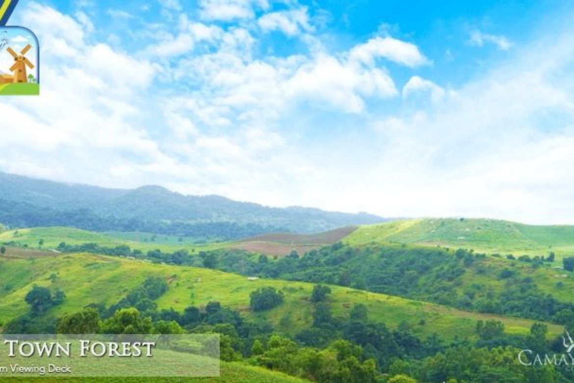 Land for Sale in Biaan, Mariveles, Bataan – photo 4