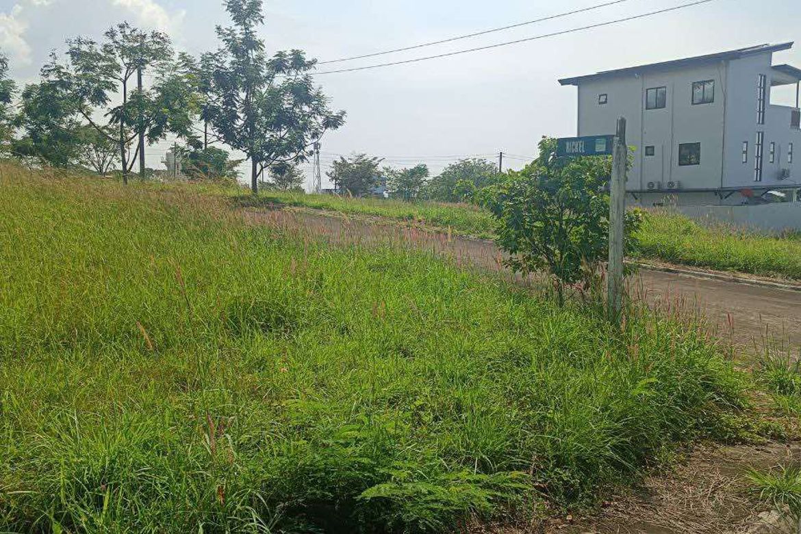 Land for Sale in Biaan, Mariveles, Bataan – photo 2