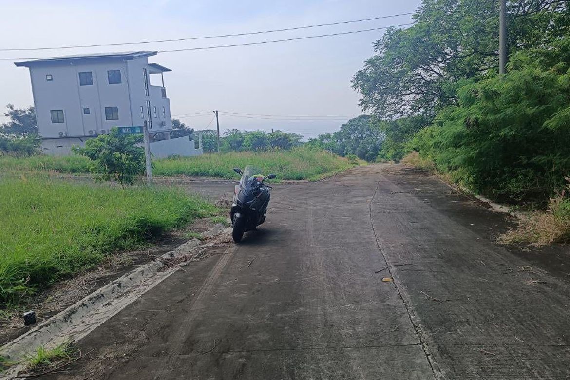 Land for Sale in Biaan, Mariveles, Bataan – photo 4