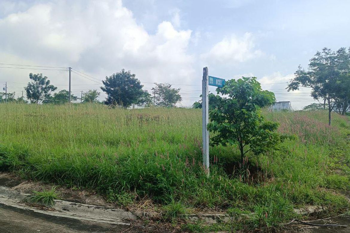Land for Sale in Biaan, Mariveles, Bataan – photo 7
