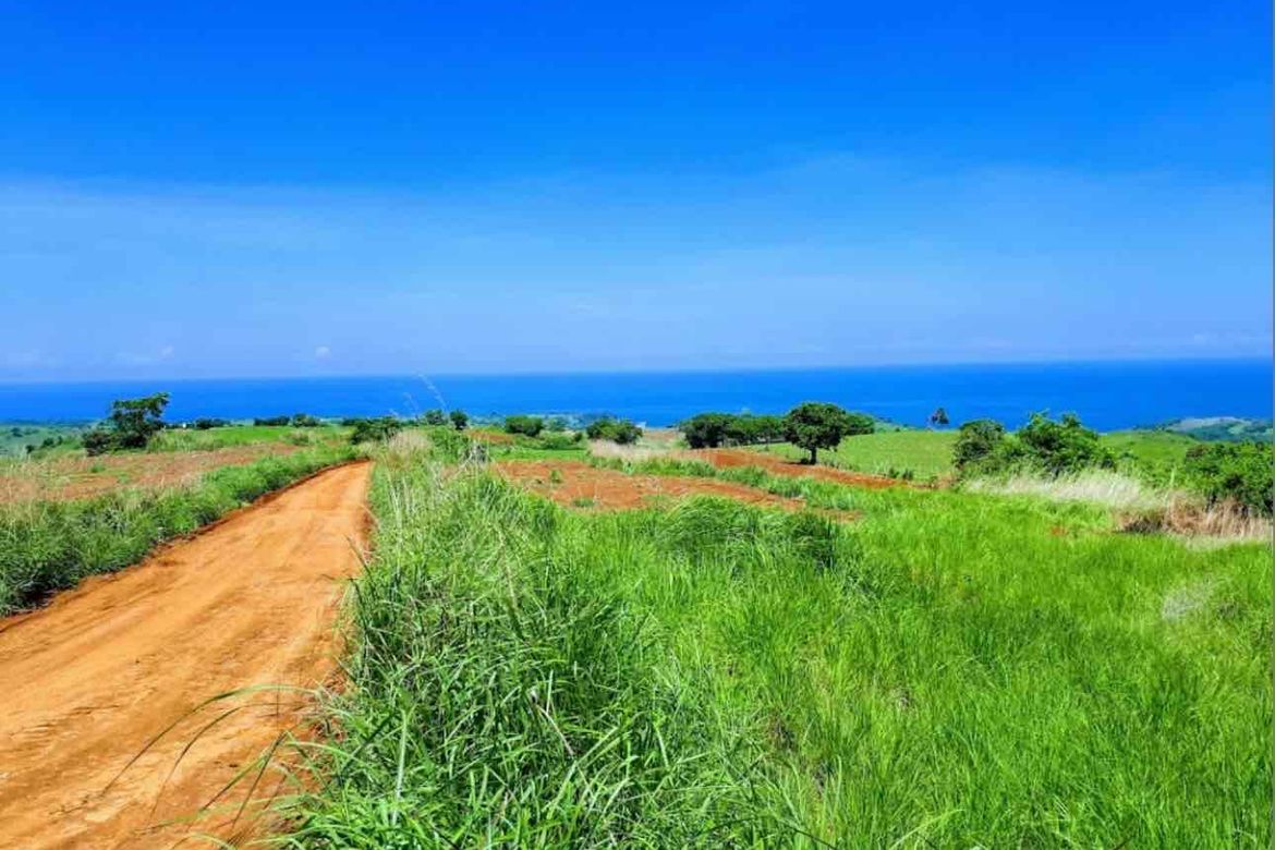 Land for Sale in Biaan, Mariveles, Bataan – photo 7