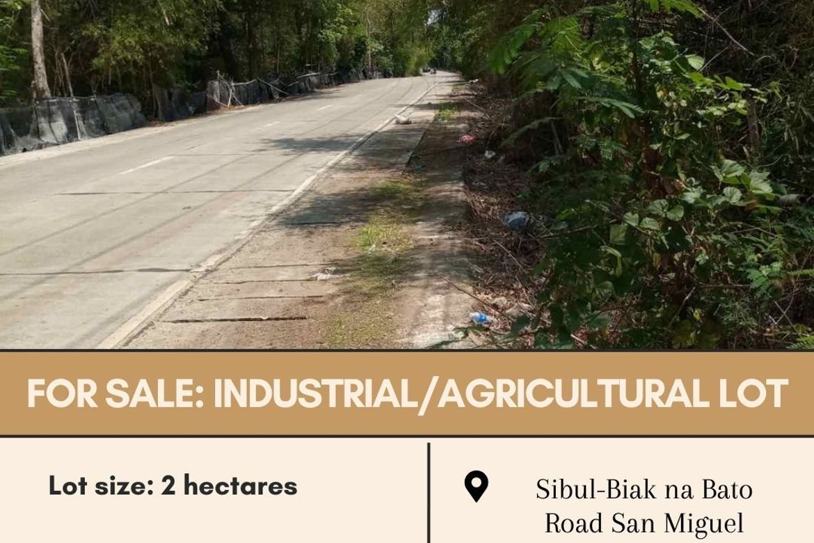 Land for Sale in Biak-Na-Bato, San Miguel, Bulacan