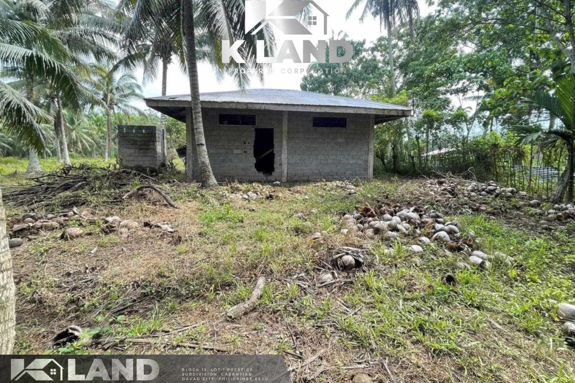 Land for Sale in Biao Joaquin, Davao City, Davao del Sur – photo 2