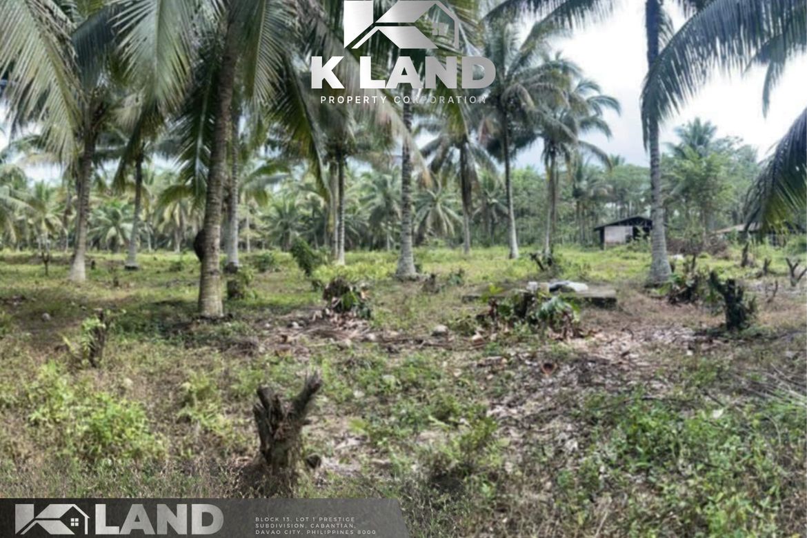 Land for Sale in Biao Joaquin, Davao City, Davao del Sur – photo 3