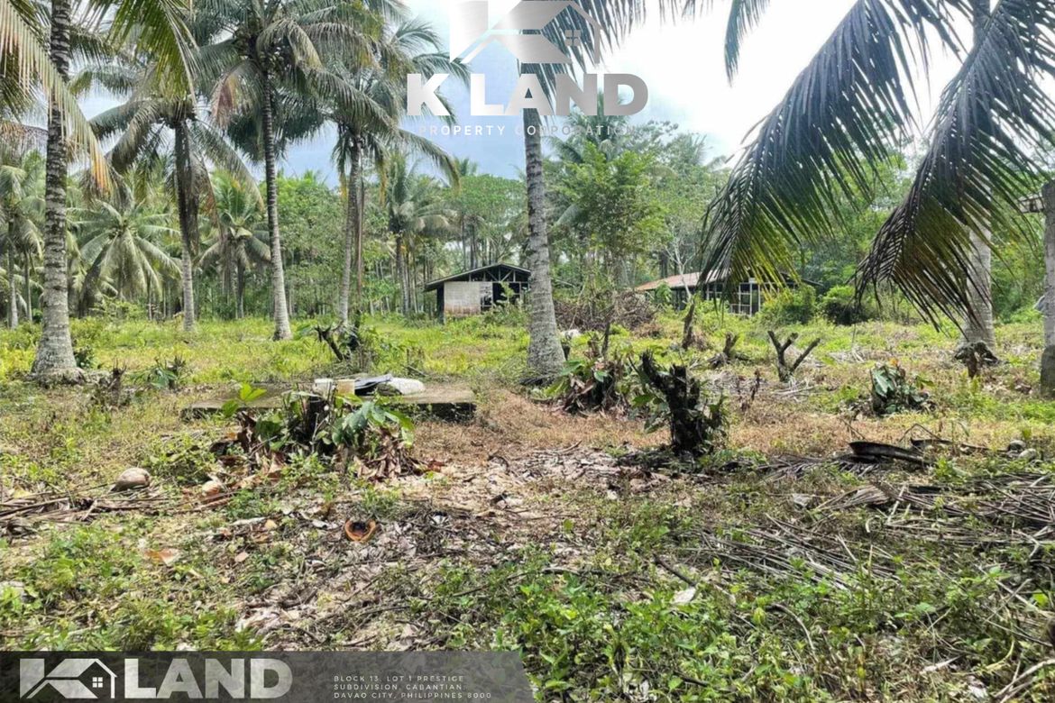 Land for Sale in Biao Joaquin, Davao City, Davao del Sur – photo 4