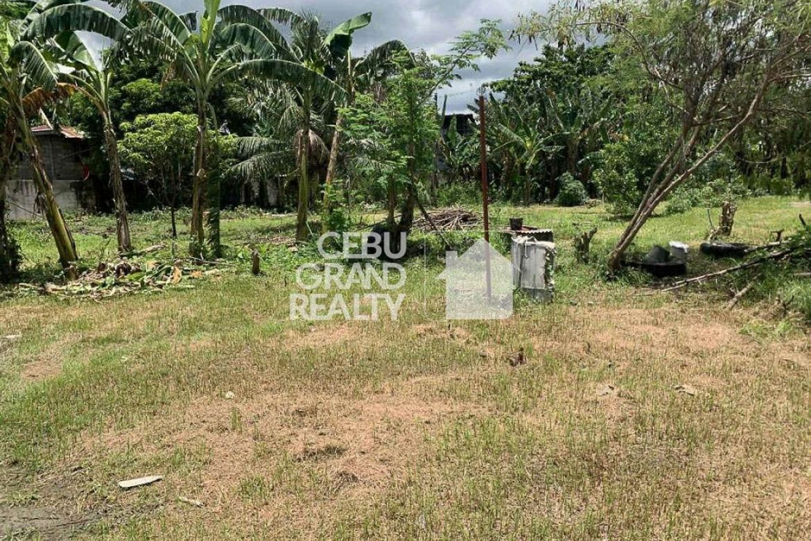 Land for Sale in Biasong, Talisay, Cebu – photo 2