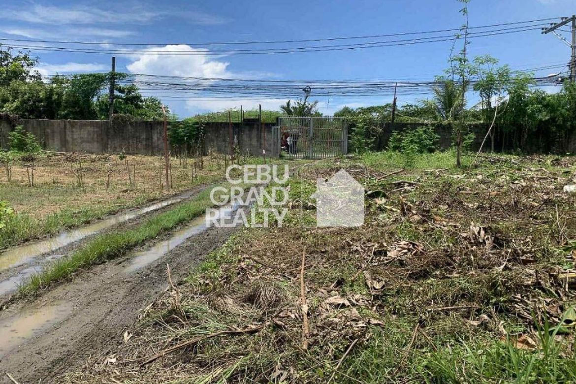 Land for Sale in Biasong, Talisay, Cebu – photo 4