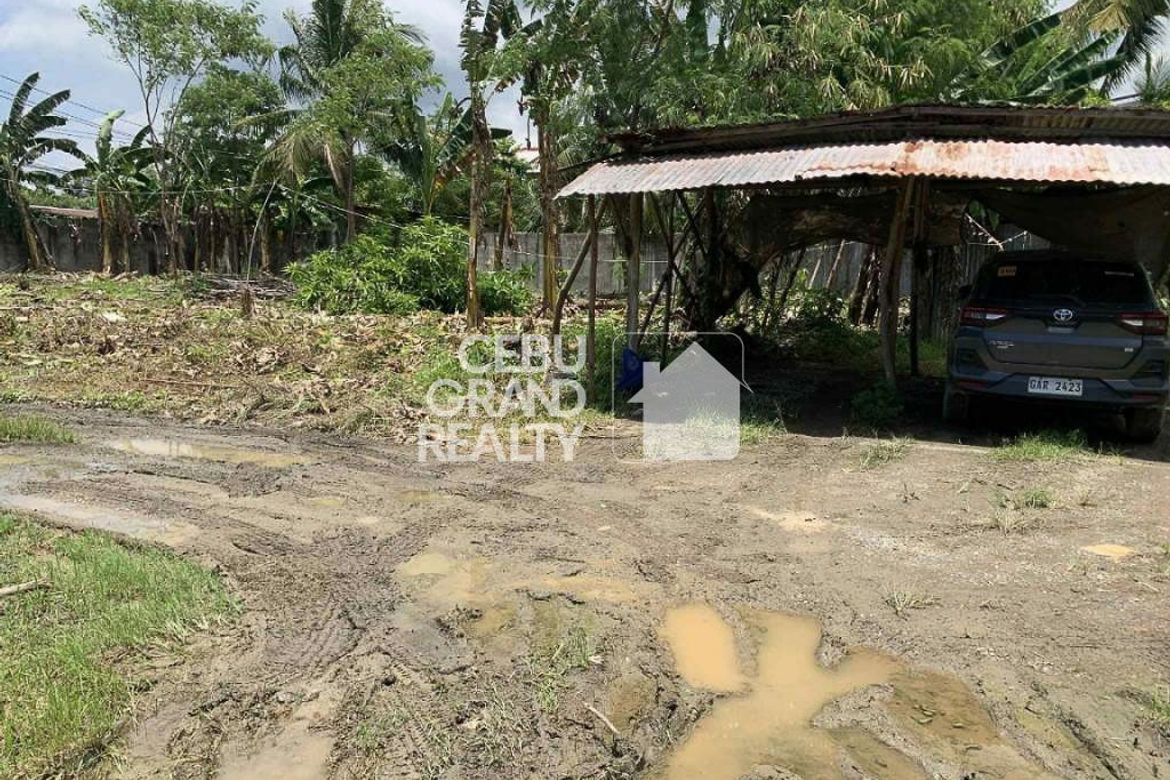 Land for Sale in Biasong, Talisay, Cebu – photo 5