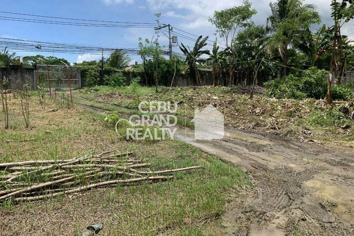 Land for Sale in Biasong, Talisay, Cebu – photo 6