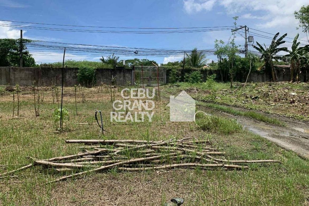 Land for Sale in Biasong, Talisay, Cebu – photo 8