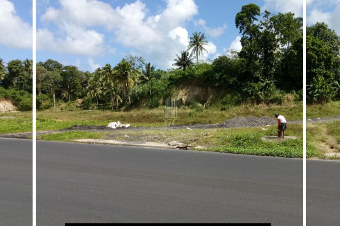 Land for Sale in Bibincahan, Sorsogon, Sorsogon