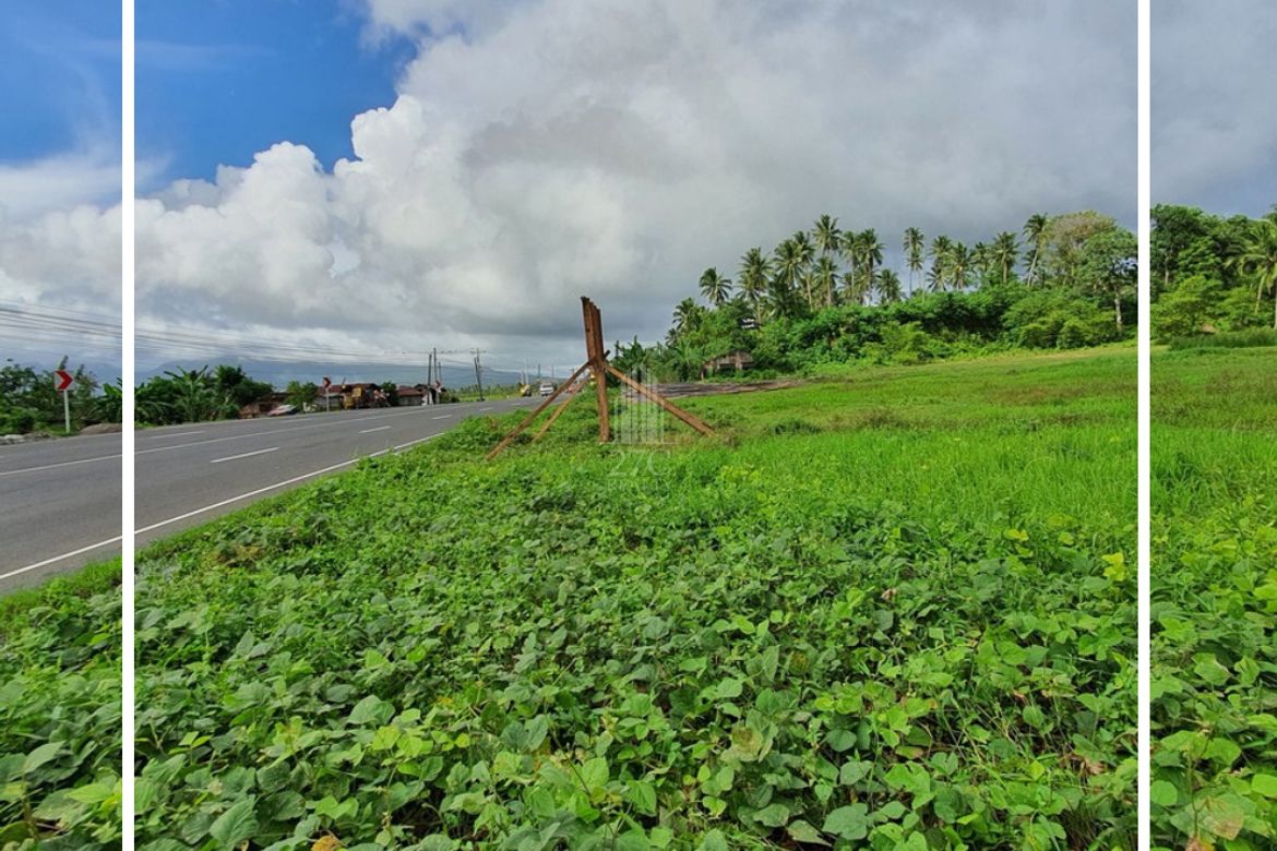 Land for Sale in Bibincahan, Sorsogon, Sorsogon – photo 5