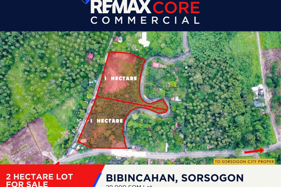 Land for Sale in Bibincahan, Sorsogon, Sorsogon