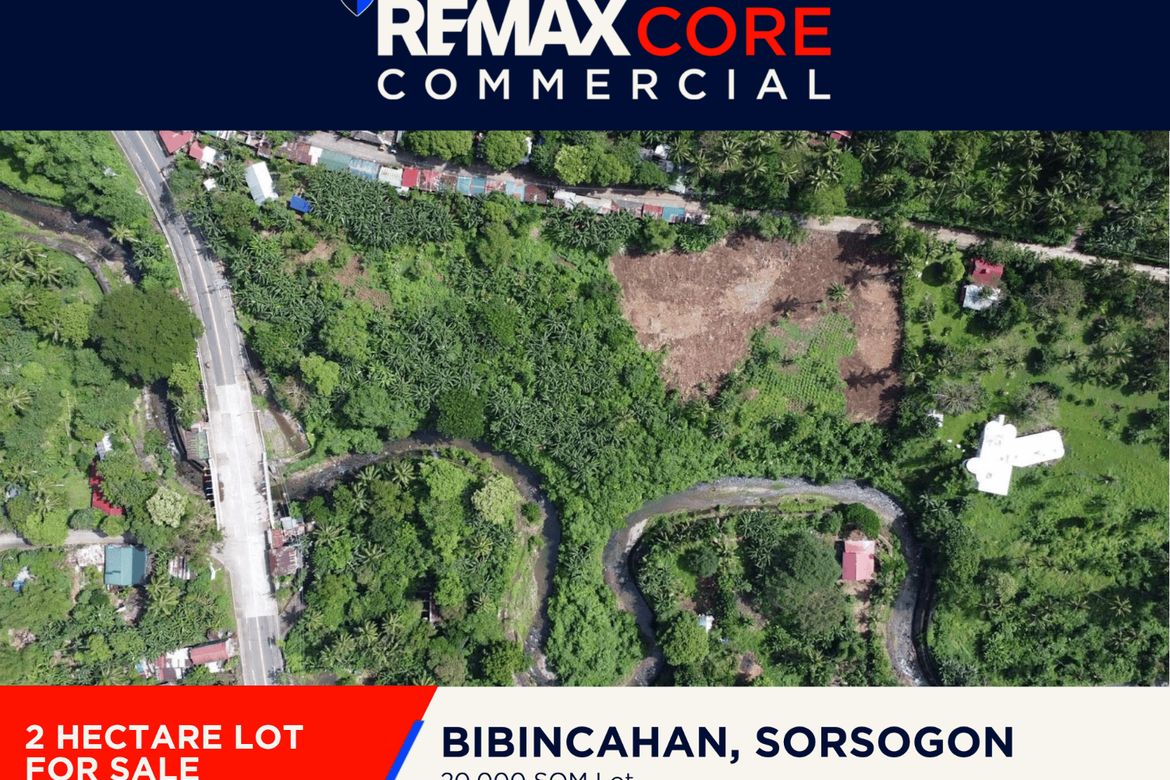 Land for Sale in Bibincahan, Sorsogon, Sorsogon – photo 2
