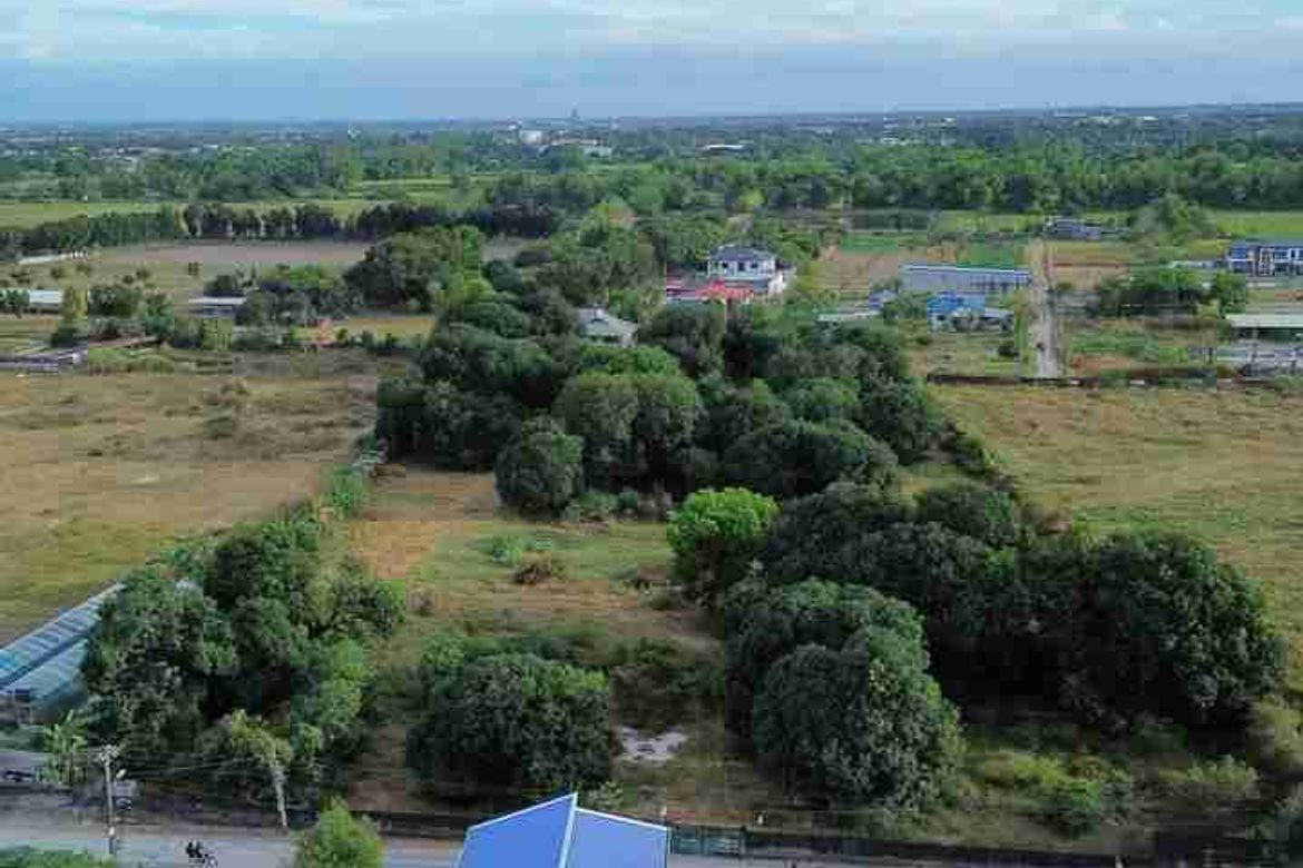 Land for Sale in Bical, Mabalacat, Pampanga – photo 5