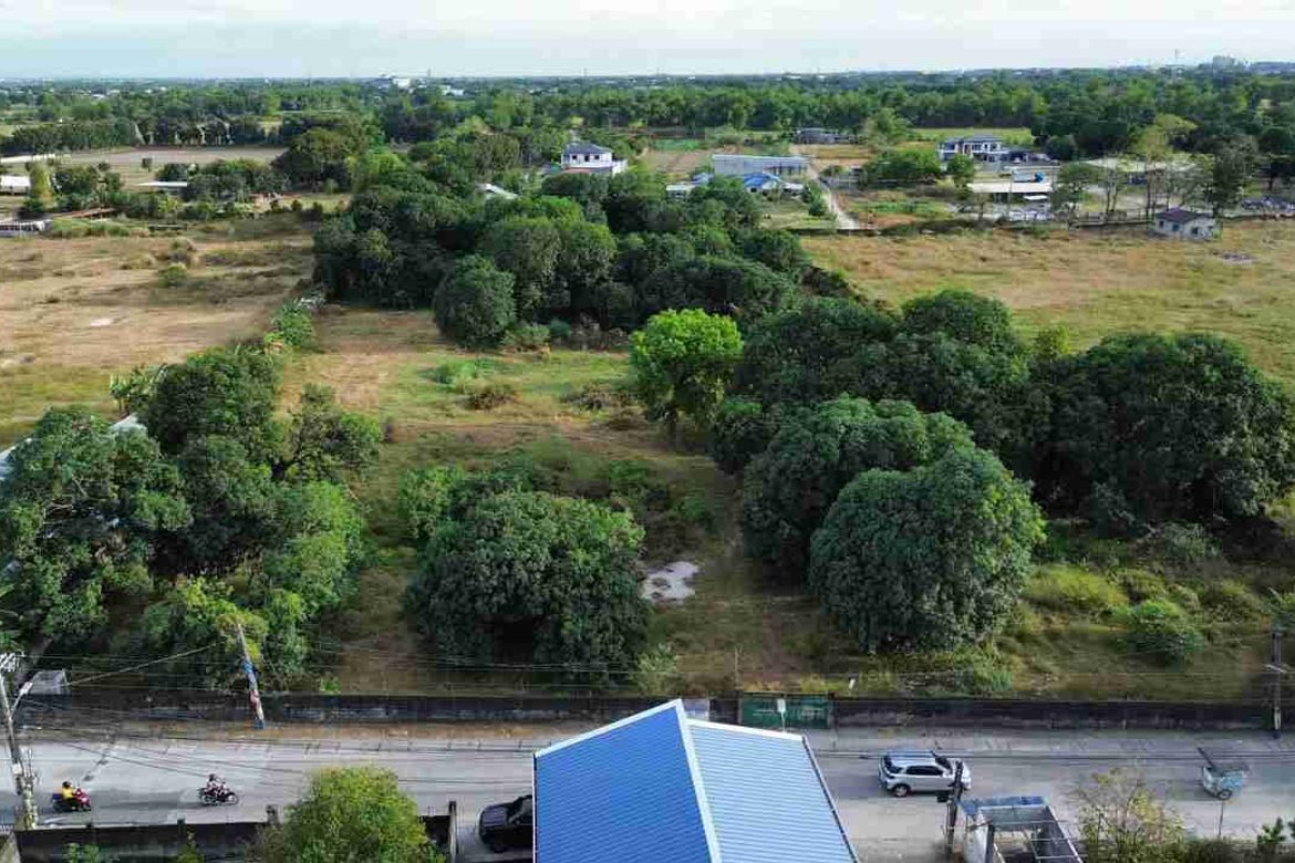 Land for Sale in Bical, Mabalacat, Pampanga – photo 6