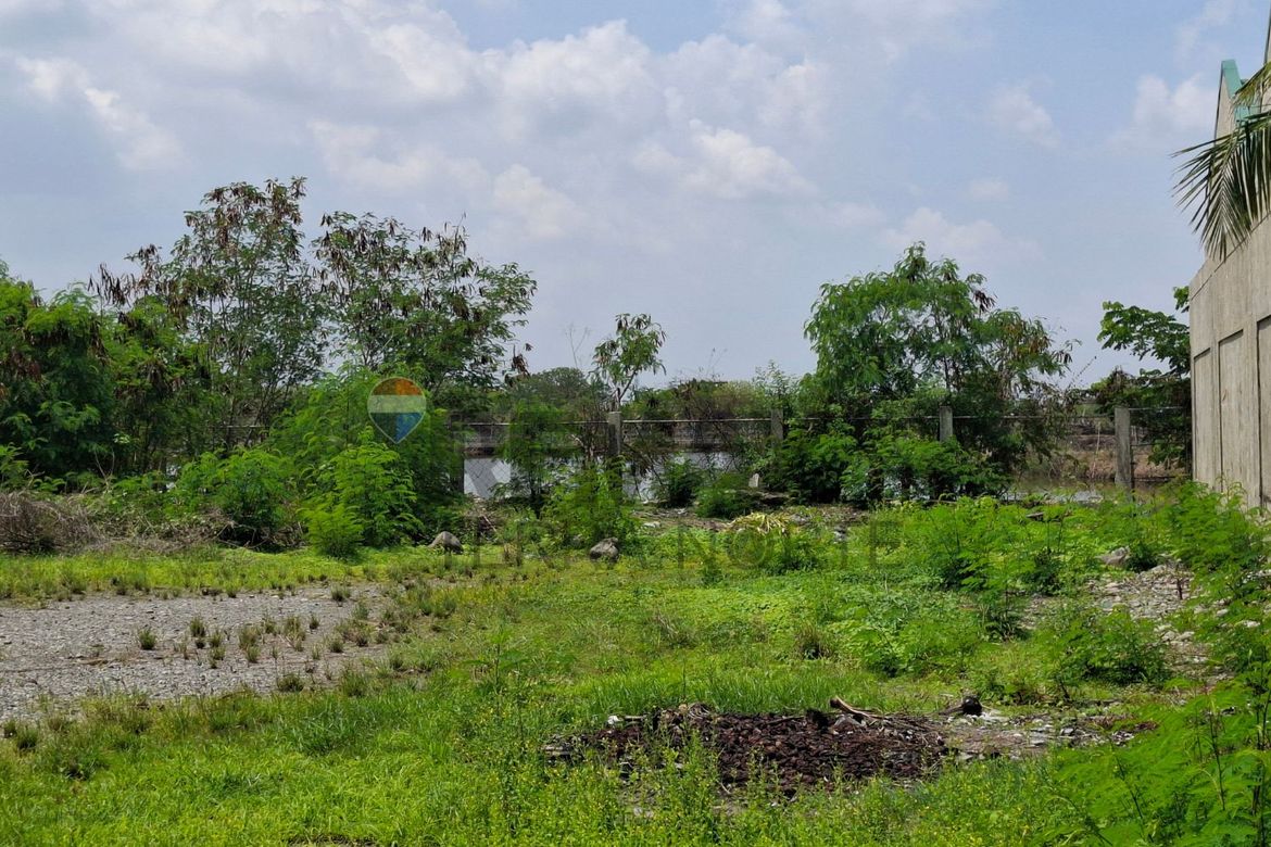 Land for Sale in Biec, Binmaley, Pangasinan – photo 3
