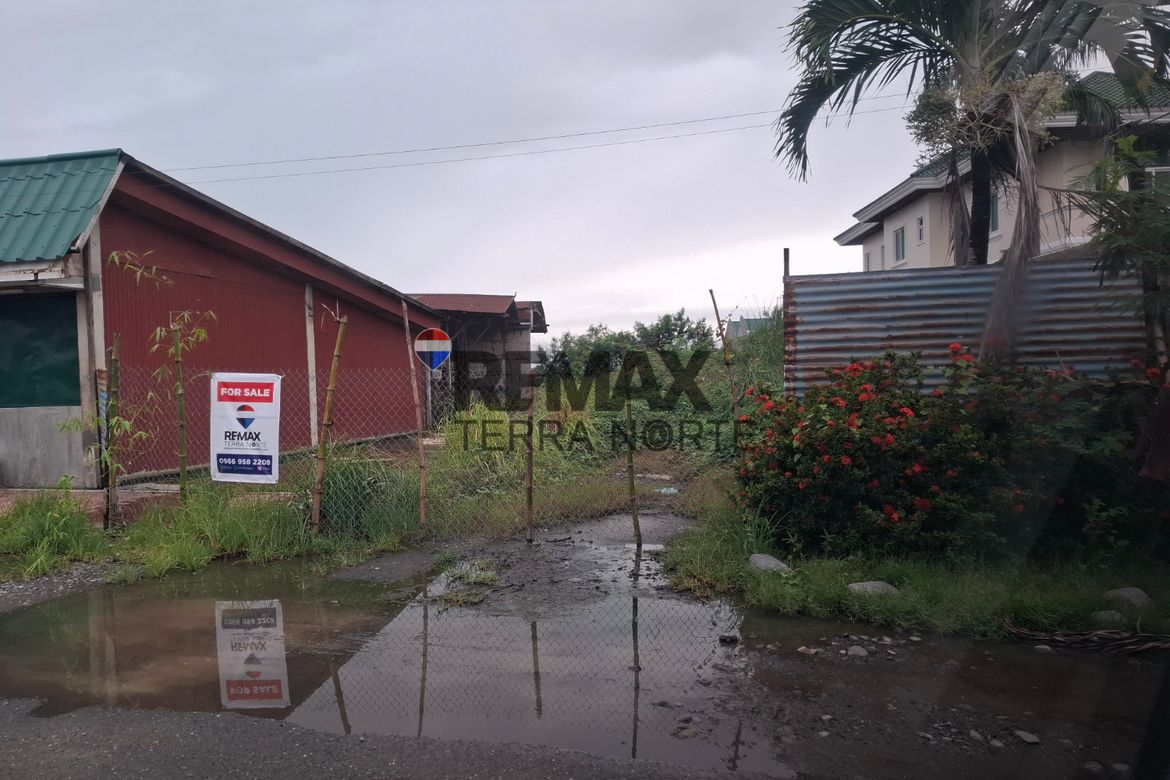 Land for Sale in Biec, Binmaley, Pangasinan – photo 8