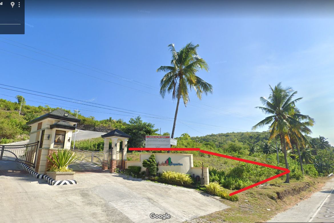 Land for Sale in Biking, Dauis, Bohol – photo 3