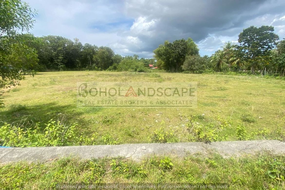 Land for Sale in Biking, Dauis, Bohol – photo 3