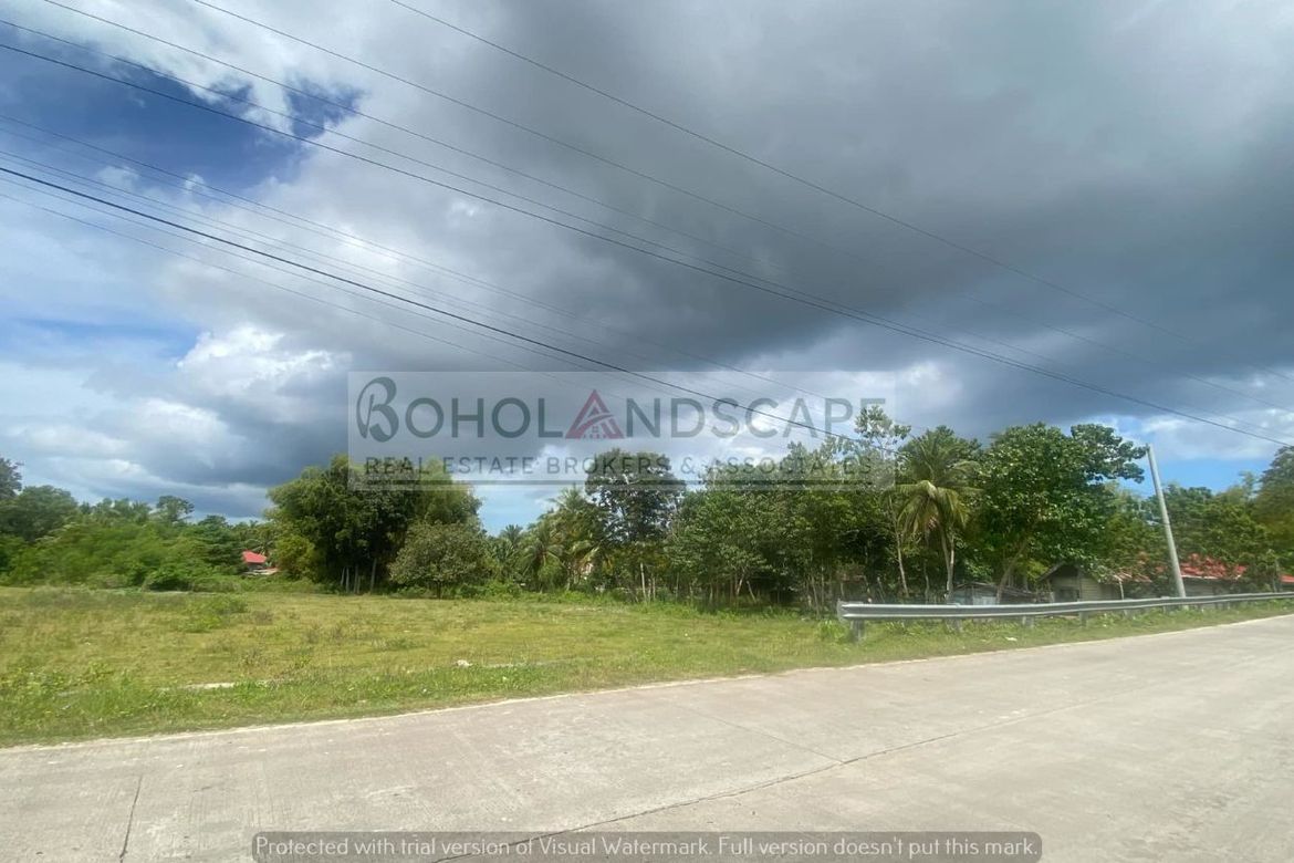Land for Sale in Biking, Dauis, Bohol – photo 4