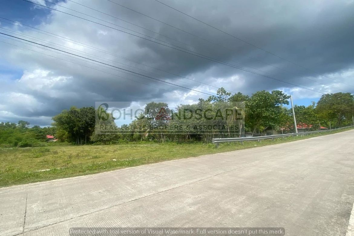 Land for Sale in Biking, Dauis, Bohol – photo 5